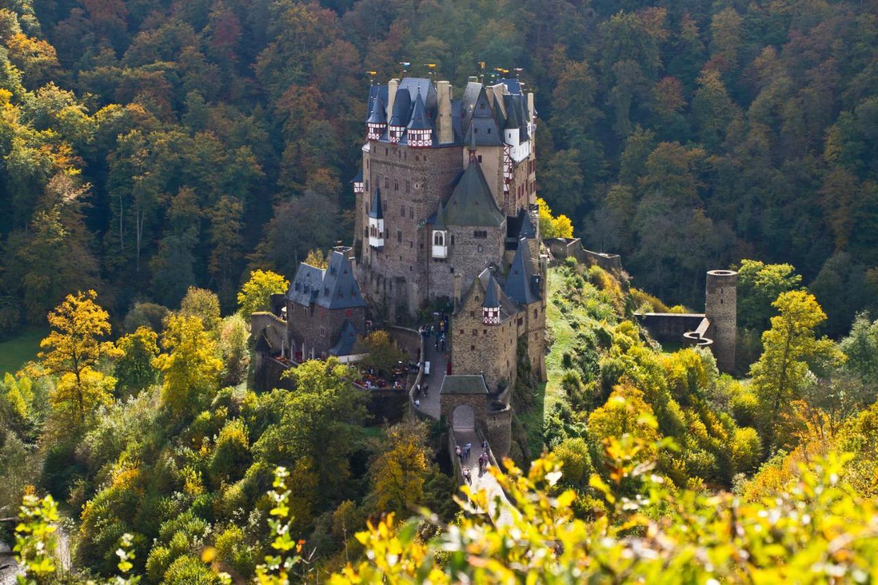 Tiny House Natur-Traum Zur Burg Eltz فيرشيم المظهر الخارجي الصورة